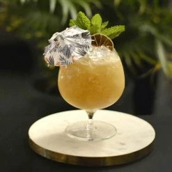 Best Pirce ???? BarMan Small Batch Cocktail Garnish Co.'s Case Of Dehydrated Slices - Flavor Options ???? -Bar Products Shop CGC LIME CS 1 700x700