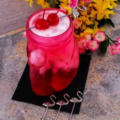 Best reviews of ???? BarMan Flamingo Cocktail Picks - Set Of 4 ???? -Bar Products Shop barconic flamingo cocktail picks scene3 700x700