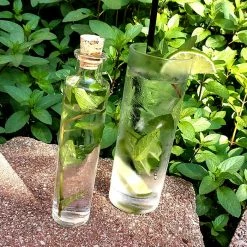 Cheapest ???? BarMan Cylinder Craft Bartending Bottle W/ Cork - Clear 4 Oz ⭐ -Bar Products Shop cylinder craft bartending bottle w cork bpc 6 700x700