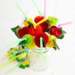 Budget ❤️ BarMan BarConic® Fruit Straws - 50 Pack ???? 8 Budget ❤️ BarMan BarConic® Fruit Straws - 50 Pack ???? -Bar Products Shop fruit straws2 bpc 1 700x700