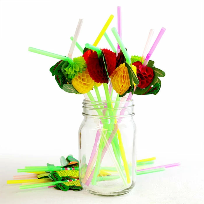 Budget ❤️ BarMan BarConic® Fruit Straws - 50 Pack ???? 1 Budget ❤️ BarMan BarConic® Fruit Straws - 50 Pack ????