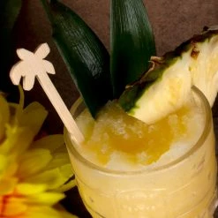 Budget ✔️ BarMan BarConic® Bamboo Palm Tree Swizzle Sticks - 100 Pack ???? 5 Budget ✔️ BarMan BarConic® Bamboo Palm Tree Swizzle Sticks - 100 Pack ???? -Bar Products Shop palm tree bamboo wood drink stirrers 3 700x700